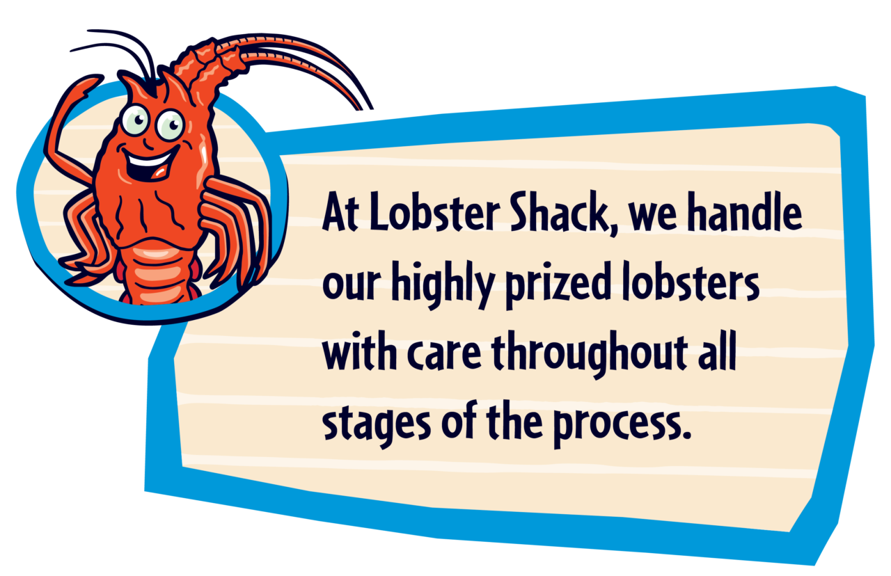 Our Products Lobster Shack