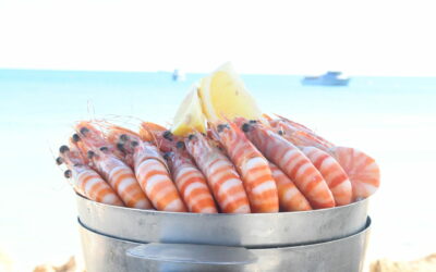 Celebrate National Prawn Day at Lobster Shack!