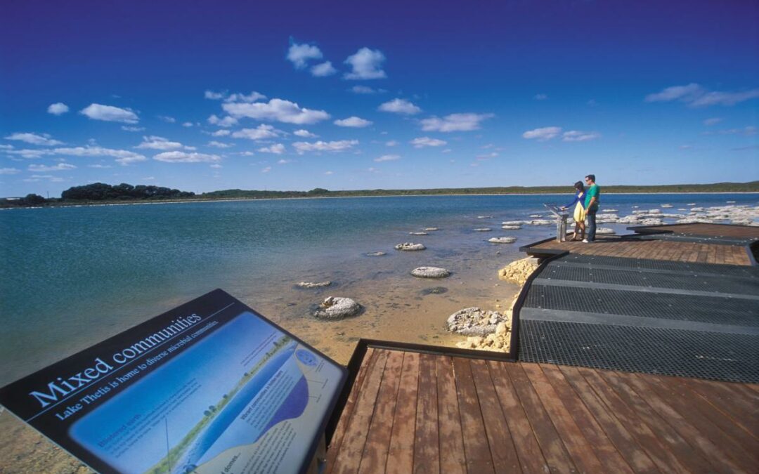Lake Thesis